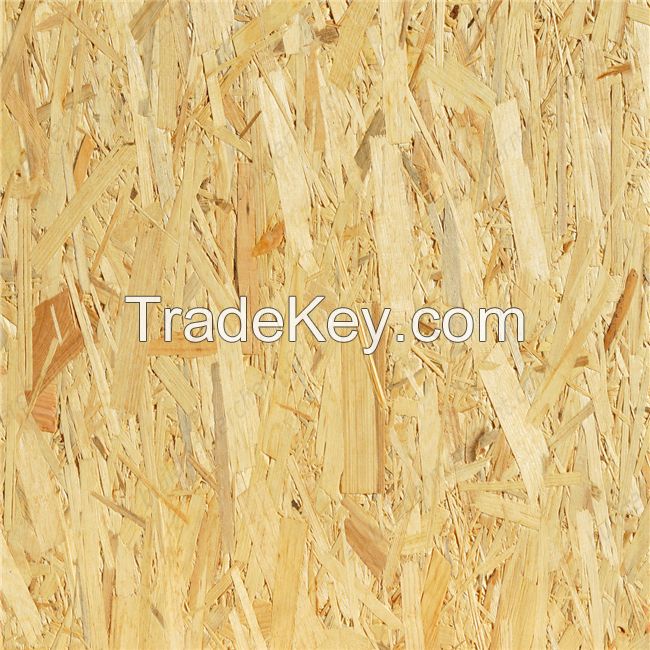 hot sell OSB OSB2 and furniture board OSB 9 mm panel with most competitive price