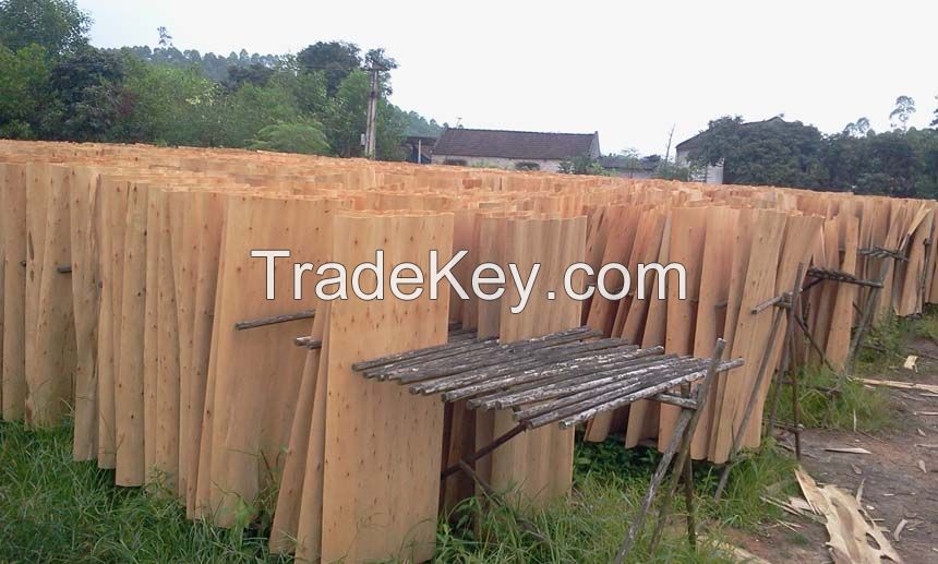 Rotary cutting poplar wood core veneer for plywood with cheap price