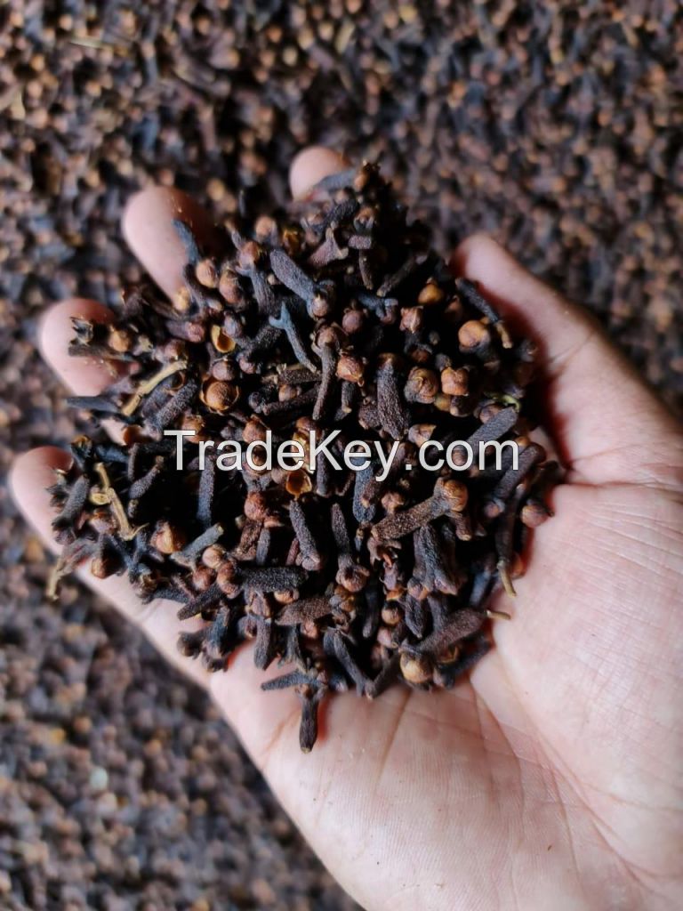 Cloves AA Grade Produced in Indonesia