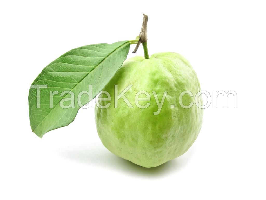 SWEET FRESH GUAVA FRUITS F