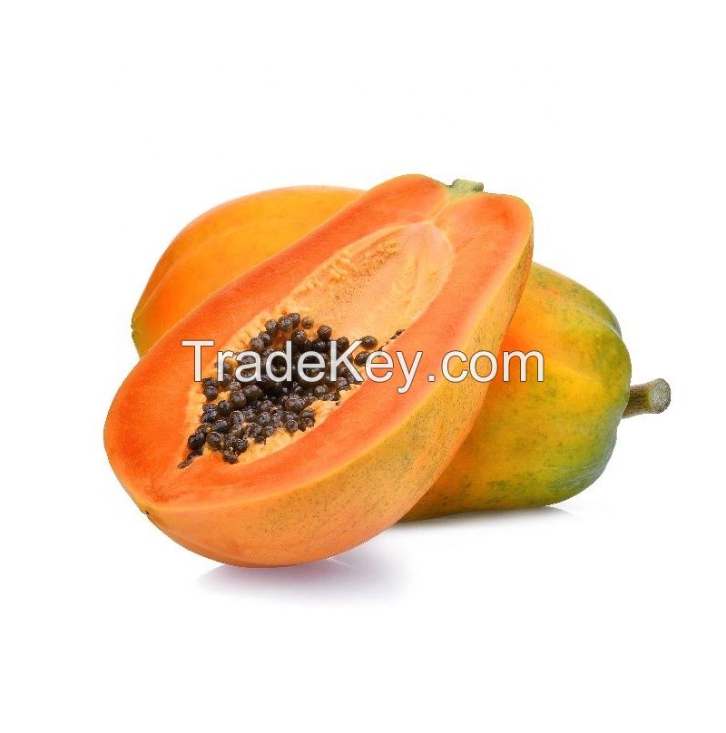 Papaya Pawpaw fresh fruit- Premium, high quality, clean farming, prestige, attractive price