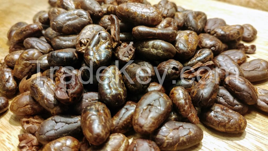 Roasted Cocoa Beans