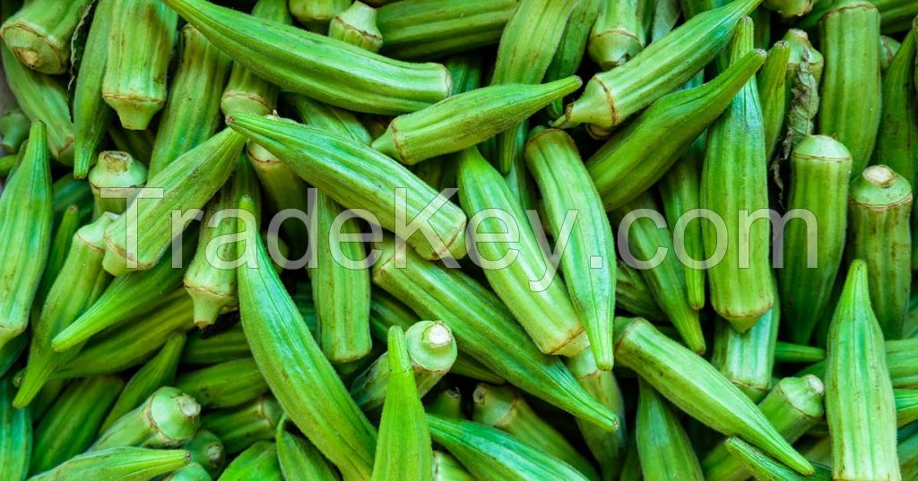 Okra