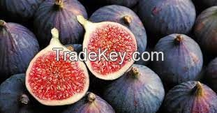 Figs