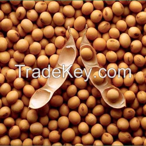 Dried Soybeans