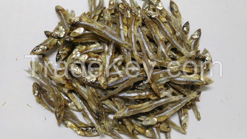 Dried Anchovy, Dried Sprat, Steamed anchovies, Steamed sprats