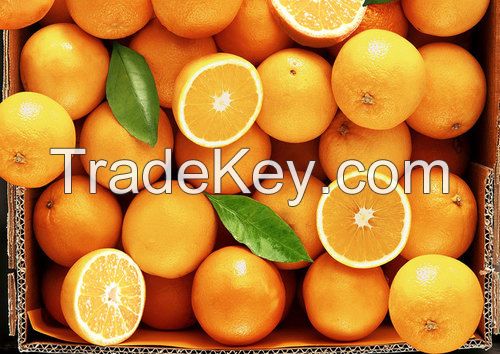 fresh orange valencia