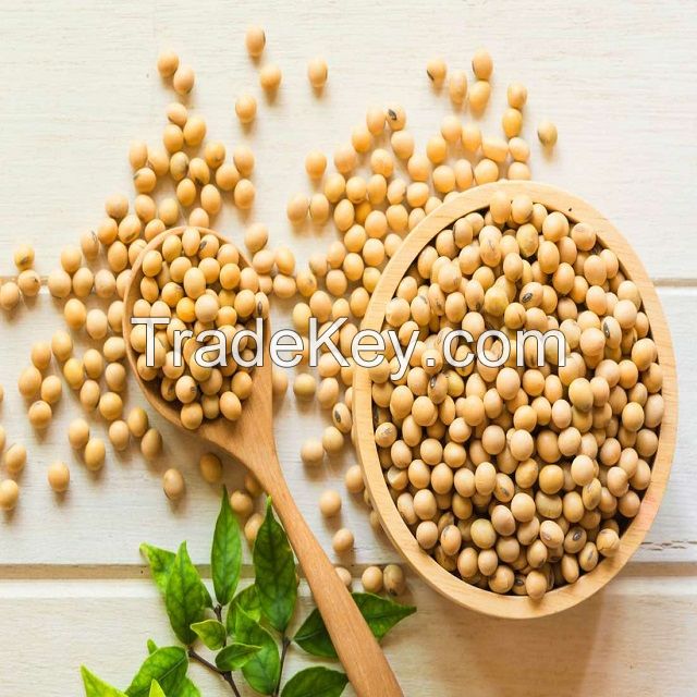 Soya Beans Seeds/Soja/Soyabeans/Organic Soybeans Meal