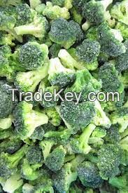 IQF Frozen Broccoli