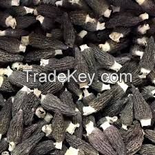 Yang du jun Chinese supplier dried morels morchella conica esculenta mushroom