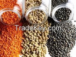 Best Quality Green Lentils, Red Lentils, Brown Lentils