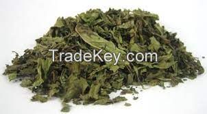 Wholesale Bulk 100% Pure Natural Organic Dried Spearmint Extract Peppermint Extract Peppermint Leafs for worldwide buyers