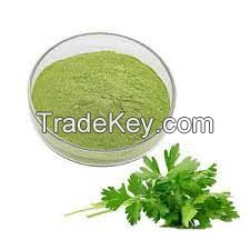 Pure Organic Instant Parsley Juice Extract Powder With Best Price