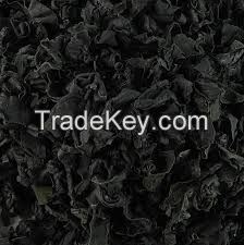 Seafood Dried Seaweed Wakame Chopped Processing Dried Seaweed Wakame For Soup