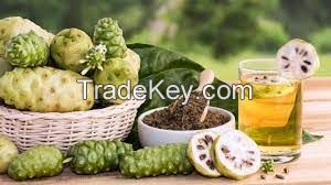 Natural Detox lose weight Natural fruit juice extract Noni Powder for slimming products