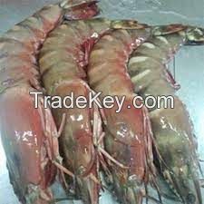 Frozen Black Tiger Shrimp Hot Selling Prawn Freshwater Shrimps Seafood Wholesale