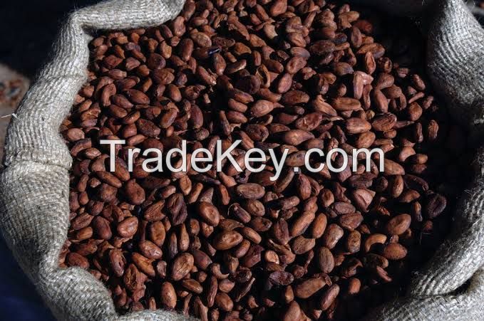 Cocoa Beans