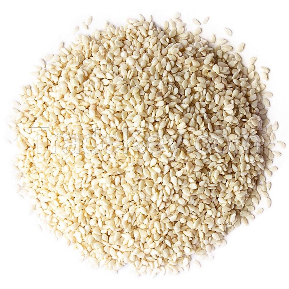seeds Sesame for export