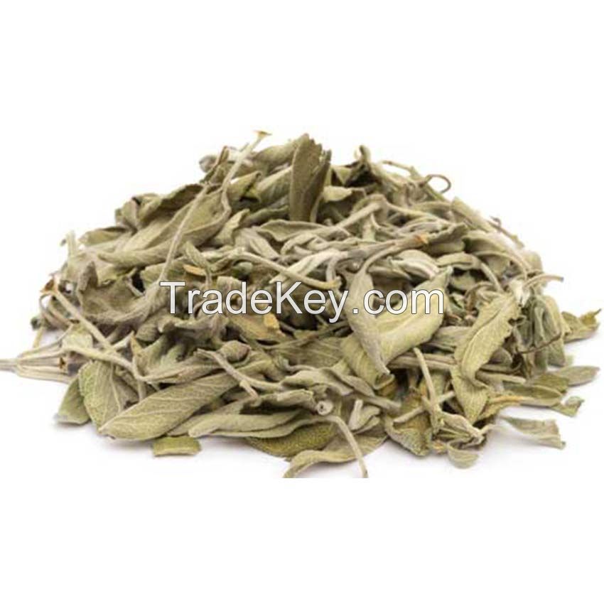 sage for export and import