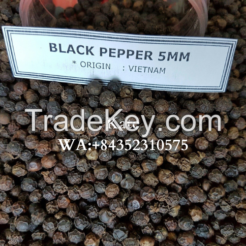 HIGH QUALITY BLACK PEPPER FROM VIETNAM/ KATE +84352310575