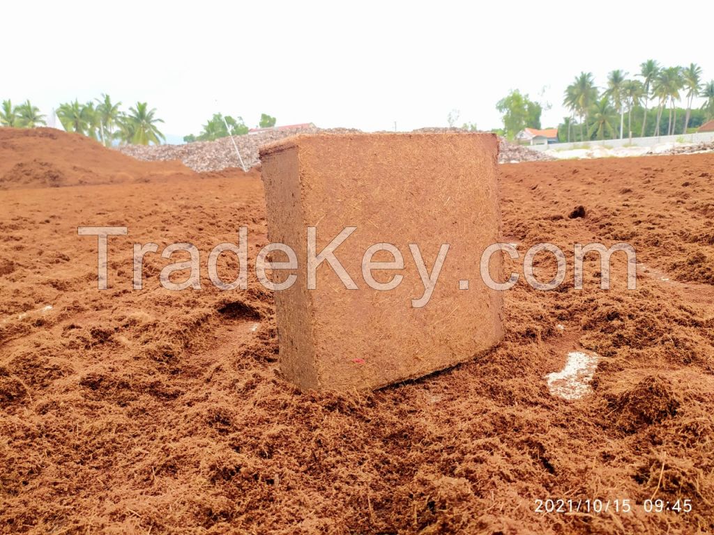 Compressed washed cocopeat