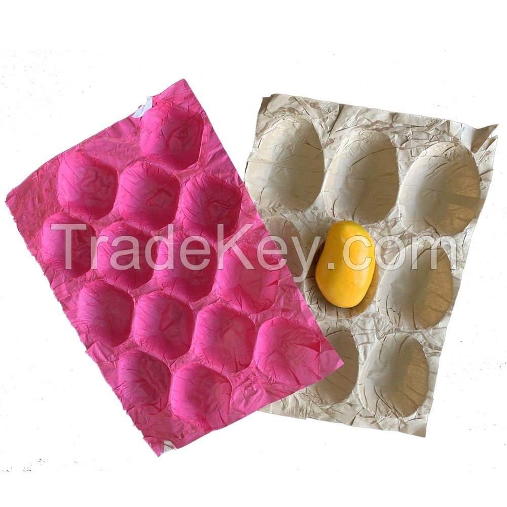 Custom Molds Colorful Paper Fruit Insert Tray