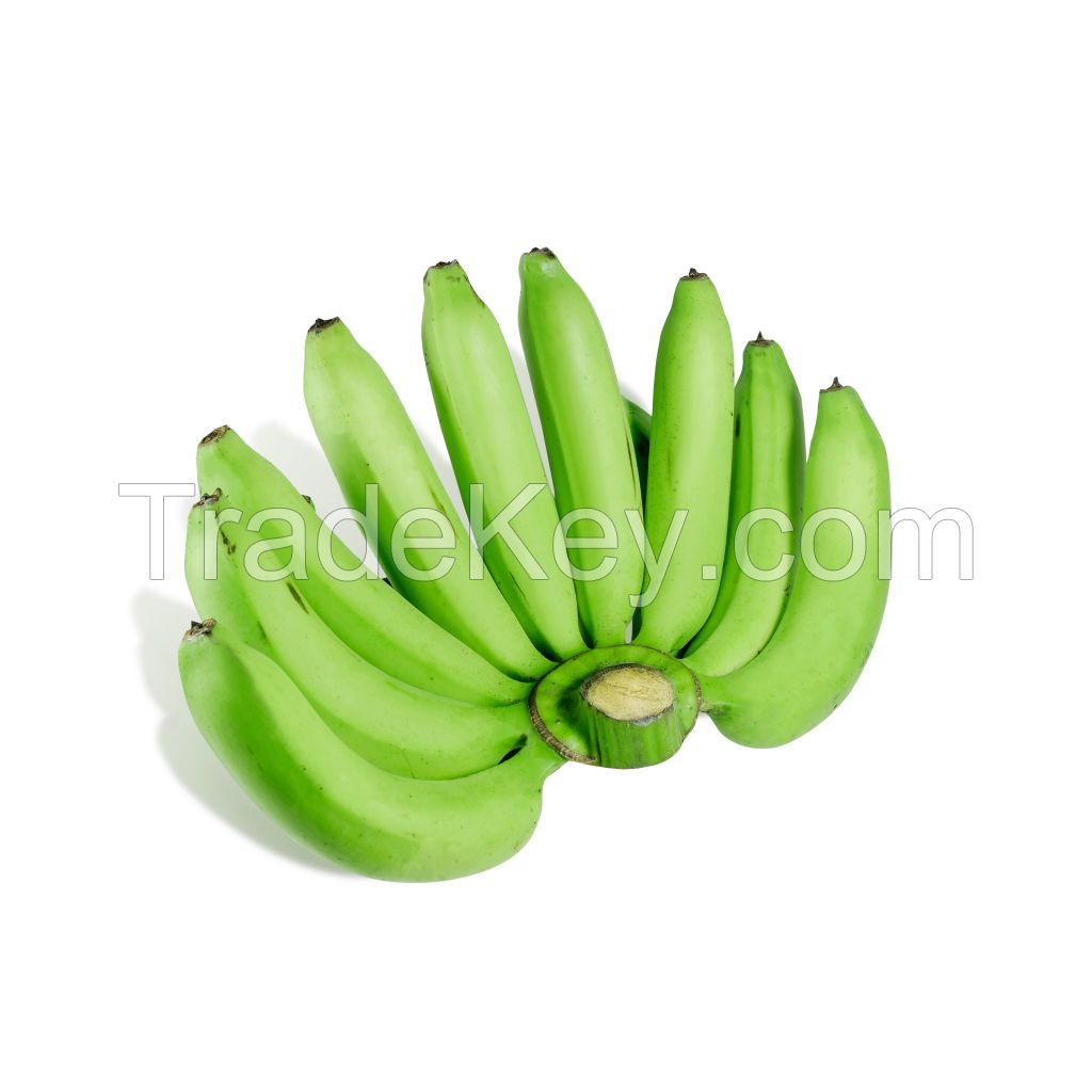 Fresh Cavendish Banana from Vietnam with High Quality