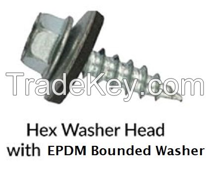 Hex Washer Head