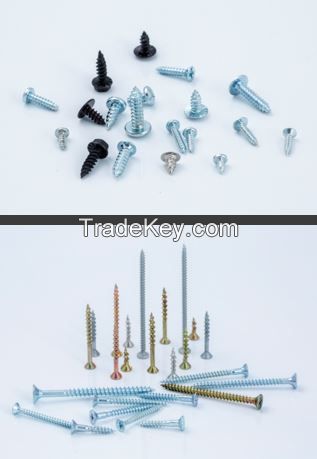 Self Tapping Screw