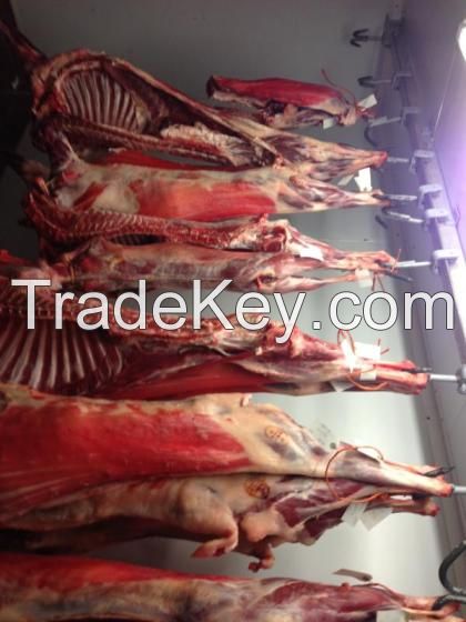 Halal Frozen Lamb Whole / Goat Meat / Sheep