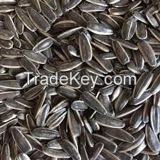 Wholesale Black Sunflower Kernels, Sunflower Seeds