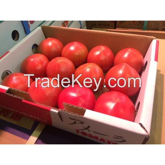 Fresh Tomatoes, FRESH ORGANIC TOMATO and Fresh Red Tomato, Fresh Green Tomatoes