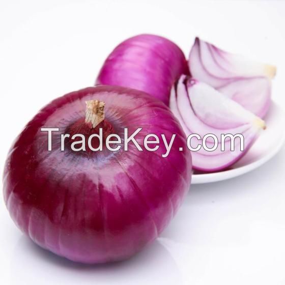 Onion Price 1KG for Malaysia, Fresh Onion Prices, Onions in Bulk