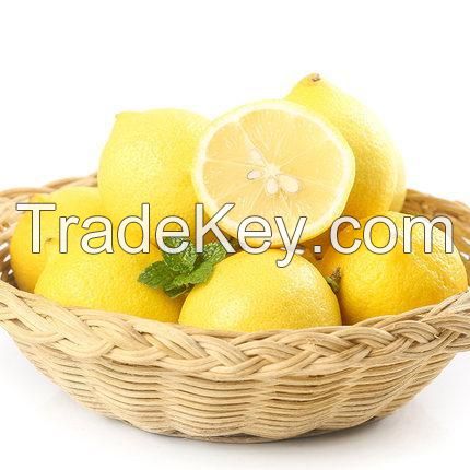 Seedless Lemon / Lemons in Bulk with Low Wholesale Price, Fruits in Bulk Fresh Lemon