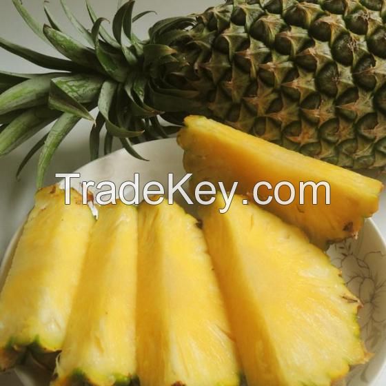 Best Quality Fresh Pineapples At Affordable Prices
