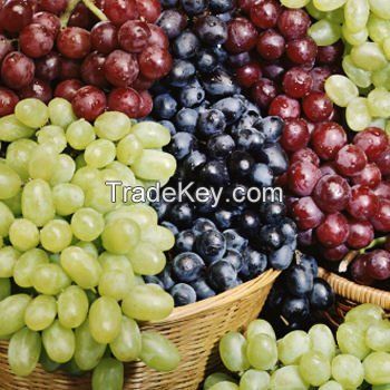 Fresh Grapes From South Africa-Recent Crop