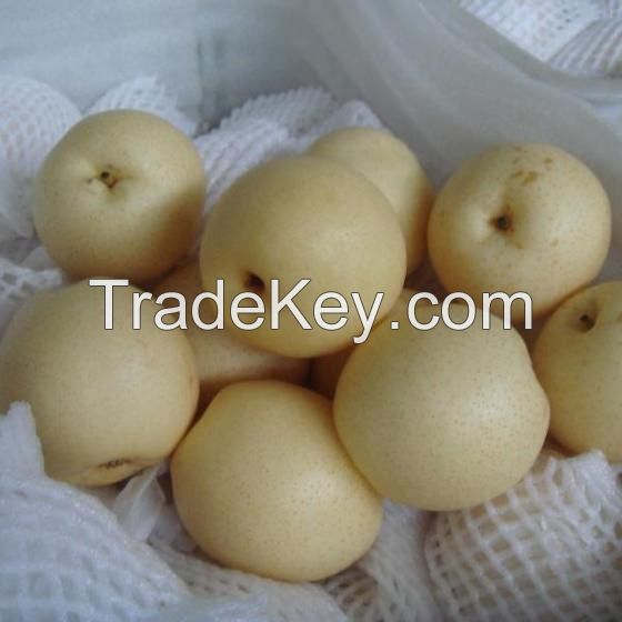 Fresh Pear Fruits for Sale / High Quality Fresh Pear Sweet Green Fragrant Pear