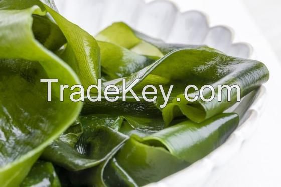 Green Seaweed Powder / Ulva Lactuca Seaweed for sale