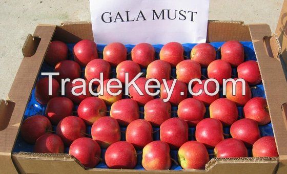 Fresh Red Gala Apples For Sale