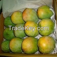 Fresh Alphonso Mangoes for sale