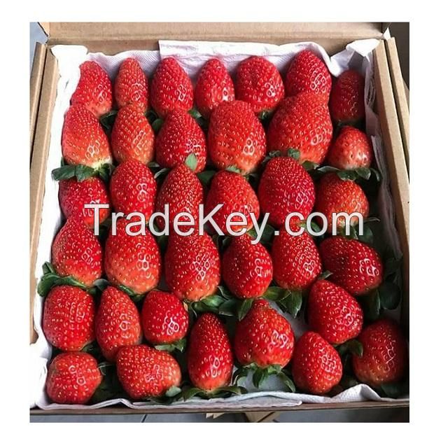 Natural and Organic Strawberry Fruit For Sale
