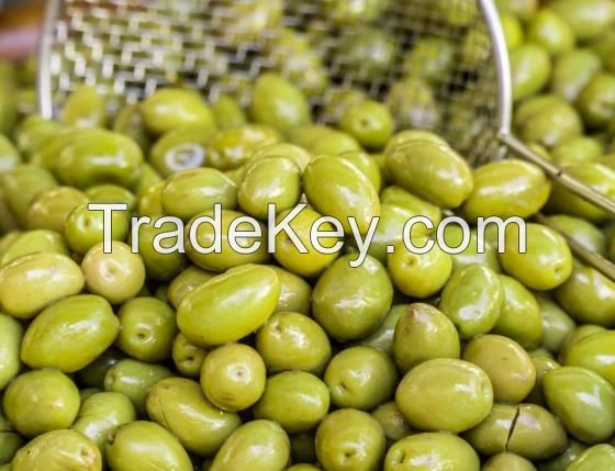 OLIVES in BRINE for Sale Black Olives, Pitted Black Olives, Sliced Green Raw Fresh Olives