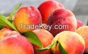 Fresh Peach For Sale