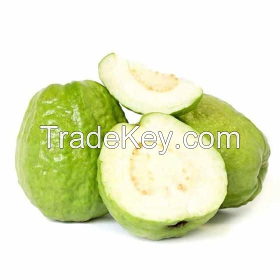 Fresh Guava High Quality Green Guava Newest 2022 Sweet Fresh and Natural Dry Guava