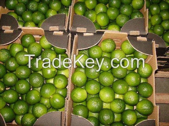 Green Lemon Fresh Citrus Fruit For Sale