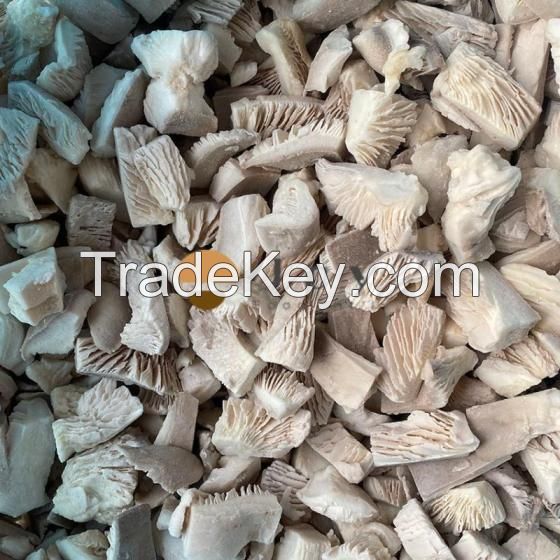 IQF Frozen Oyster Mushroom Pleurotus Ostreatus