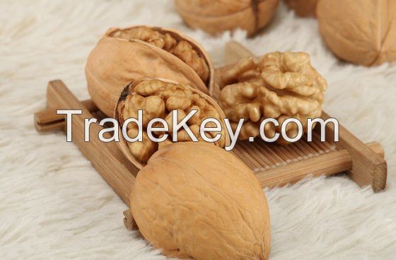 Walnuts - Best Quality Walnuts - Best Price and Service