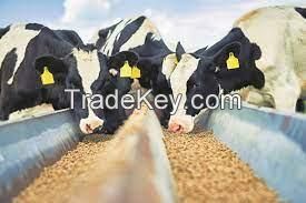 Animal Feed For Sale