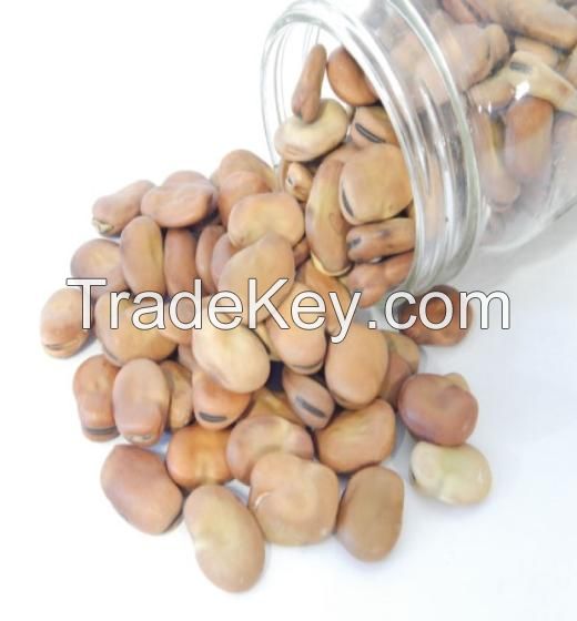 Dried Broad Beans Fava Beans, Dried Broad Beans Fava Beans wholesale