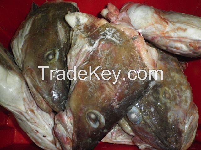 Atlantic Cod Heads